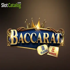 ব্যাকারেট C08 - CEO Casino